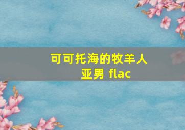 可可托海的牧羊人 亚男 flac